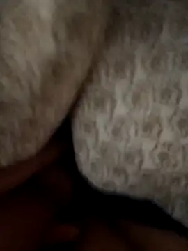 Porco81cazzo online show from 01.06.26