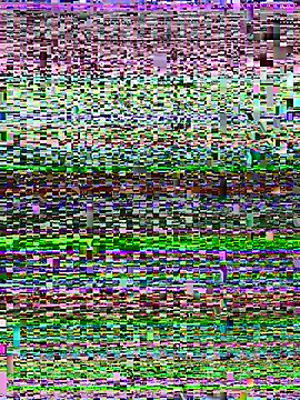 Miss-Soka online show from 01.11.26