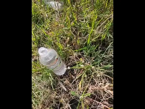 Snapshot of boy_BeardGallery chatting on 11.10.25 boy BeardGallery online show from 11.10.25