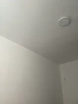 Arilw online show from 11.21.25