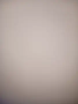 bustybillies online show from 02.18.26