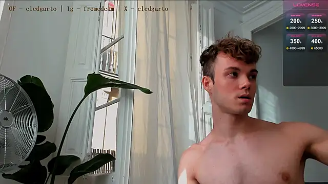 fromed online show from 07.12.26