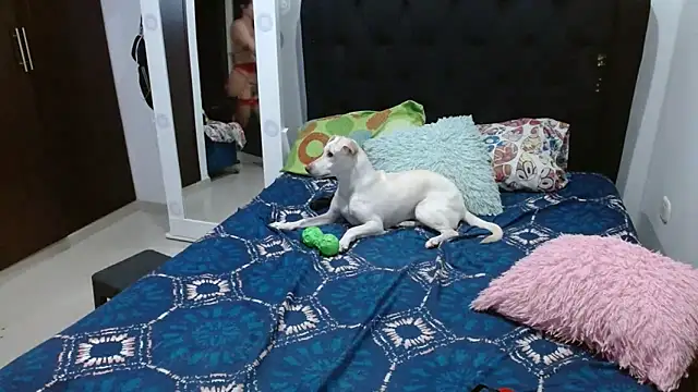 amazonafit  online show from 02.15.25