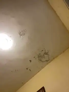 Snapshot of tobiramalapara chatting on 12.16.25 tobiramalapara online show from 12.16.25