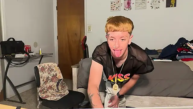 Snapshot of twentywithafelonyy chatting on 11.04.25 twentywithafelonyy online show from 11.04.25