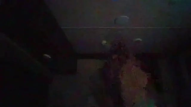 Cobra500hp online show from 02.11.26