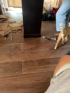 mexi01we online show from 09.16.25