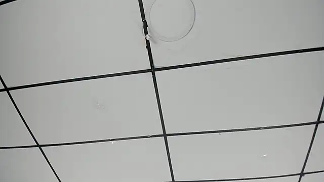 Sophia Lemos online show from 10.18.25