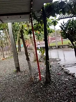 Snapshot of BeetledFlouter12 chatting on 09.26.25 BeetledFlouter12 online show from 09.26.25