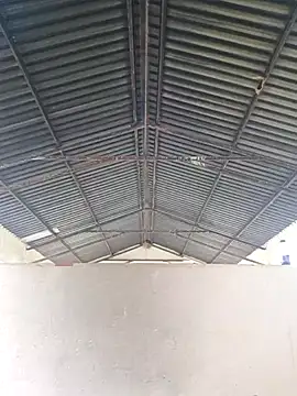 bull Giant online show from 02.20.25