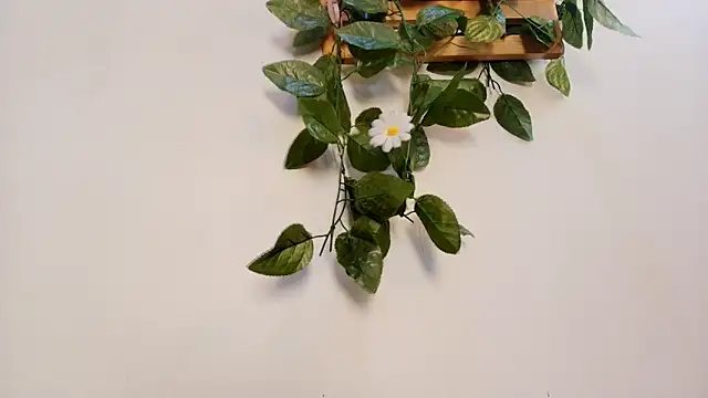 Snapshot of mss_samy chatting on 02.13.26 mss samy online show from 02.13.26