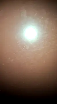 Snapshot of tall_nangu chatting on 02.21.25 tall nangu online show from 02.21.25