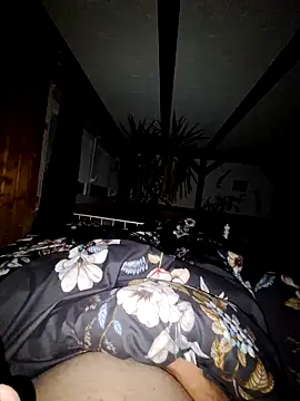 Snapshot of schlonzi81 chatting on 12.29.24 schlonzi81 online show from 12.29.24