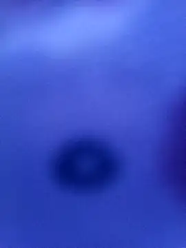 Snapshot of Mia_ross16 chatting on 03.09.25 Mia ross16 online show from 03.09.25