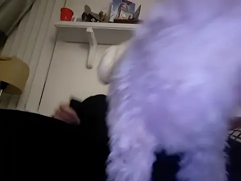 Hand69someguy online show from 01.10.26