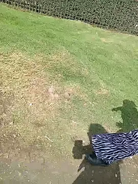 sophie banger online show from 03.11.26