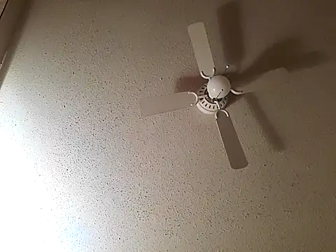 big8dall online show from 10.22.25