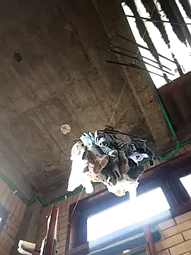 Snapshot of gigolopez1 chatting on 02.15.26 gigolopez1 online show from 02.15.26