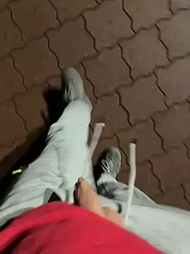 Snapshot of rundum40 chatting on 01.24.25 rundum40 online show from 01.24.25