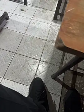 homidor online show from 12.11.24