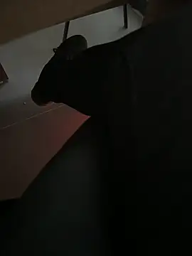 homidor online show from 12.20.24