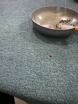 homidor online show from 01.08.25