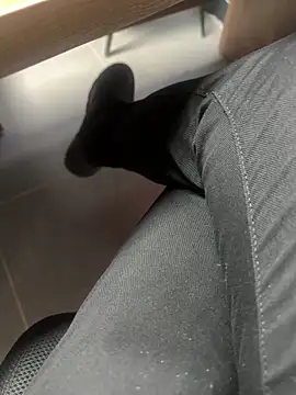 homidor online show from 01.14.25