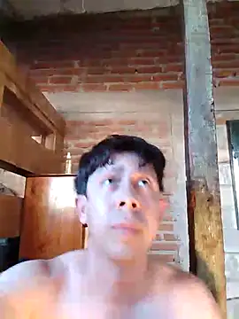 hoy toyboy online show from 01.03.25