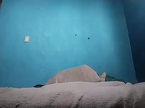 Vago745 online show from 04.10.26