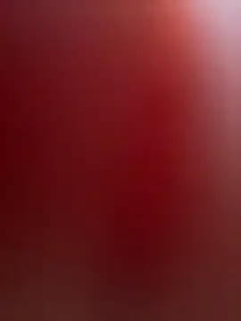 portugadopau online show from 10.15.25