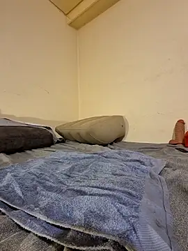 fox--3 online show from 02.10.26