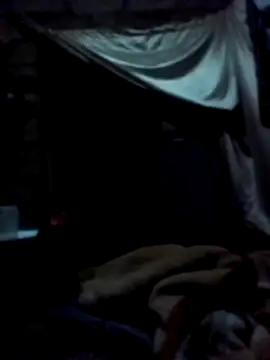 January256 online show from 03.02.26