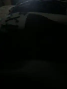 Luis0klk online show from 10.20.25