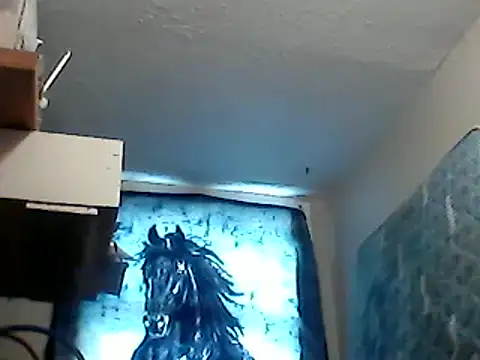 Snapshot of lilbishmiss chatting on 01.26.25 lilbishmiss online show from 01.26.25