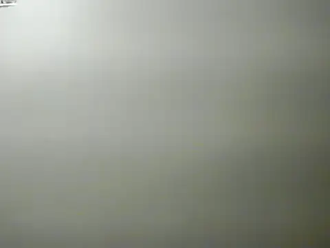 Snapshot of lilbishmiss chatting on 01.29.25 lilbishmiss online show from 01.29.25