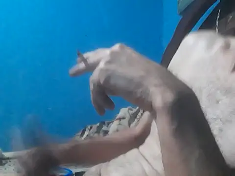 Snapshot of hugosafado333 chatting on 10.15.25 hugosafado333 online show from 10.15.25