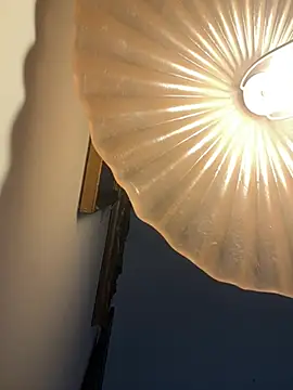 4n4l1zz4m1 online show from 02.05.26