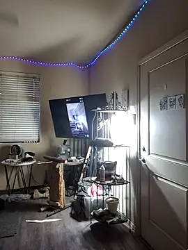 lit702 online show from 02.04.26