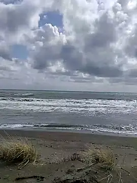 Snapshot of dhaadhawe chatting on 03.21.26 dhaadhawe online show from 03.21.26