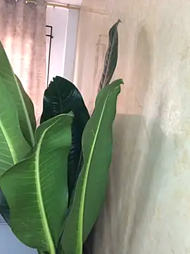 EmmaRossem online show from 03.31.26