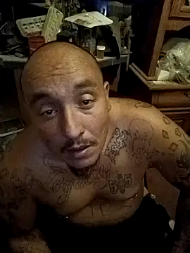 wilsons12 online show from 11.08.25