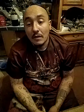 wilsons12 online show from 12.04.25