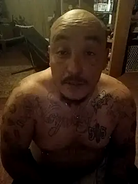 wilsons12 online show from 03.12.26