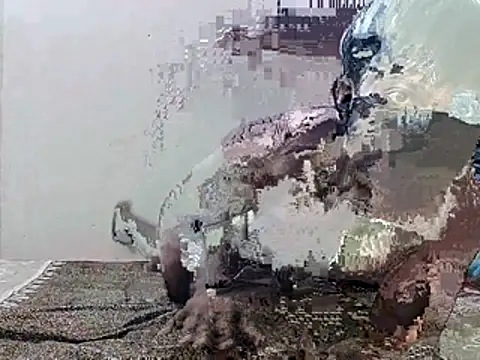 HunkyAriyan online show from 11.11.25