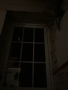 Imperial 10 online show from 12.06.24