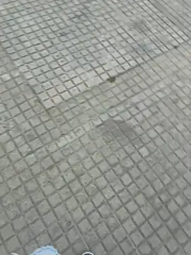 Snapshot of jovenestraviesos chatting on 03.01.26 jovenestraviesos online show from 03.01.26