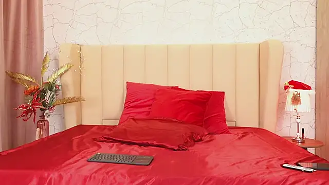 Snapshot of AlitaAnise chatting on 12.12.24 AlitaAnise online show from 12.12.24