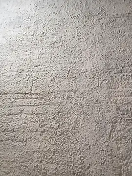 strip 1212 online show from 01.17.26