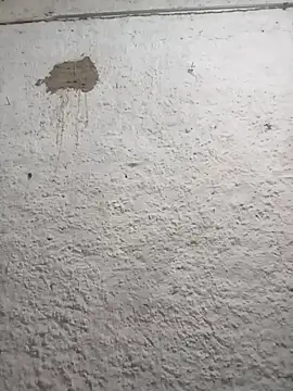 strip 1212 online show from 03.01.26