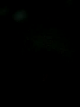 Karthik924 online show from 02.01.25